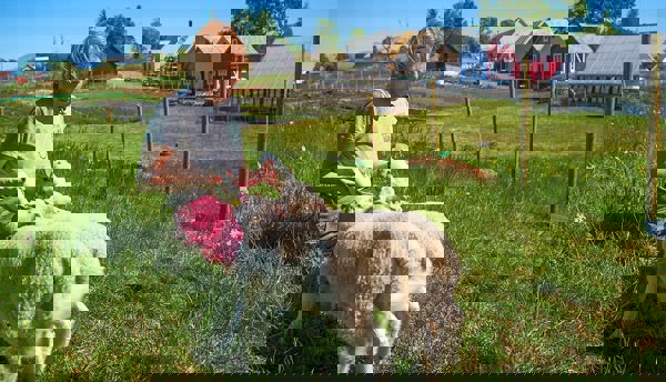 Drømmen om et liv på landet