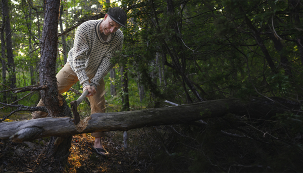 Under stjernerne med Markus Torgeby
